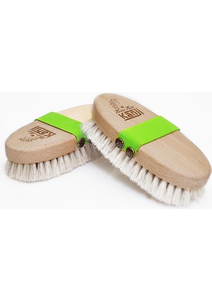 %100 Doğal At Kılı Masaj ve Kuru Fırçalama Için Fıstık Yeşil Kemerli Vücut Peeling Selülit Fırçası fiyatları
