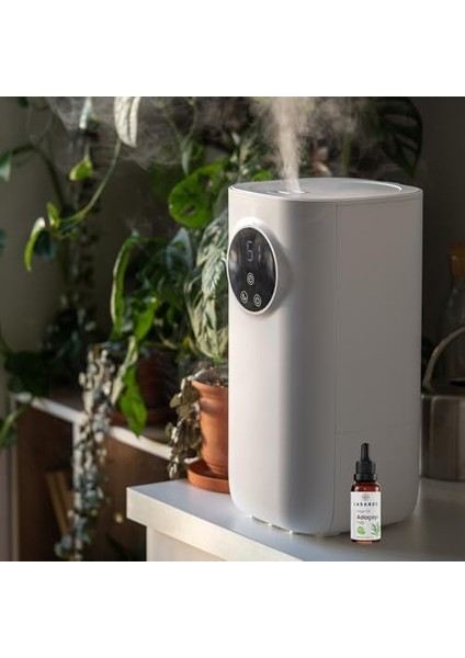 Adaçayı Yağı 20 ml fiyatları