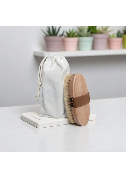 %100 Doğal At Kılı Selülit Fırçası (Standart) modelleri