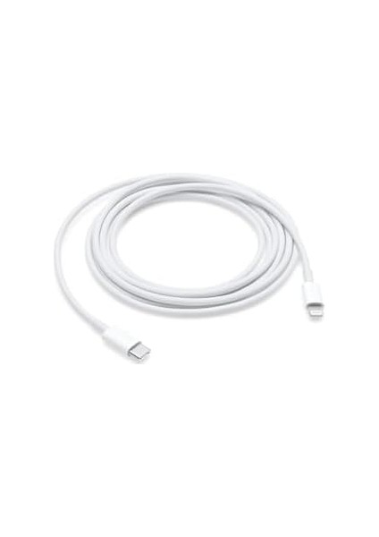 Type-C To 20W 2 Metre Hızlı Şarj Kablo 11-12-12PRO-13-13PROMAX-14-14PRO-14 Promax - BEYAZ2M modelleri