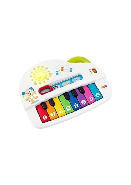 Eğlen ve Öğren Eğlen ve Öğren Işıklı ve Oyuncak, Türkçe, Işıklar, Gerçek Müzik Notaları ve Eğitici Şarkılarıyla GTW20 GTW20 fiyatları