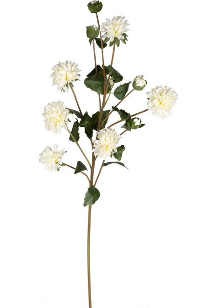 Krizantem Beyaz 77 Cm.