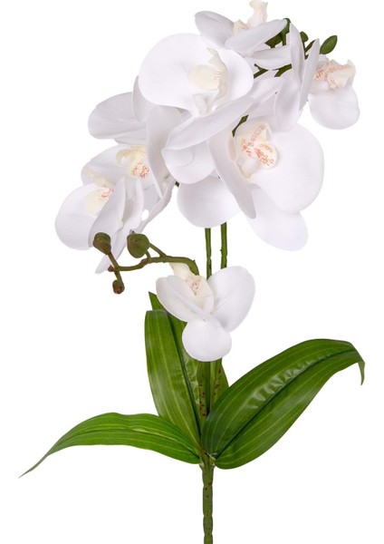 Yapay Orkide Gerçek Dokunuş Beyaz 45 Cm.