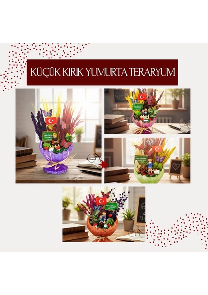 Küçük Kırık Yumurta Teraryum - Öğretmenler Günü Hediyesi