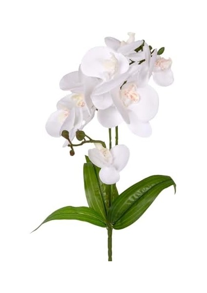 Yapay Orkide Gerçek Dokunuş Beyaz 45 Cm. modelleri