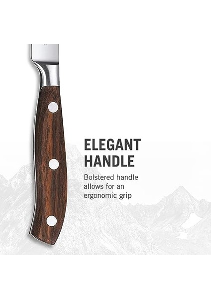 Mutfak Bıçağı Biftek Bıçağı Dövülmüş Gül Ağacı Normal Hediye Kutusu, 12 Cm, 7.7200.12 G modelleri