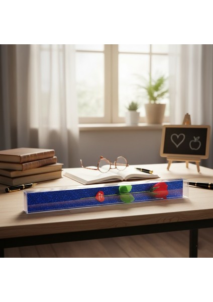 Şeffaf Simli Kutulu Gül - Öğretmenler Günü Hediyesi indirimleri