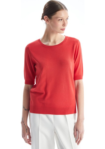 Yeni Sezon Bisiklet Yaka Düz Kısa Kollu Kadın Triko Kazak fiyatları