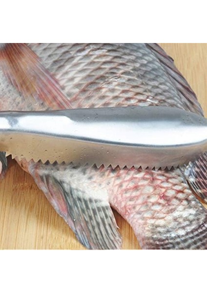 Pratik Balık Pulu Kazıyıcı Aparat fiyatları