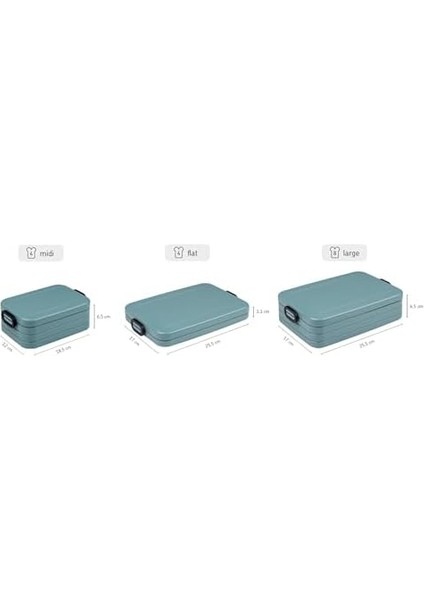 Beslenme Kutusu, Gümüş modelleri