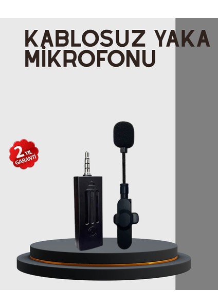 Bfs Kablosuz Profesyonel Mikrofon – 360° Ses Yakalama, 60 M Menzil, Gürültü Engelleyici