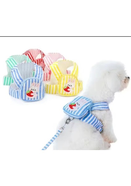 Evcil Hayvan Köpek ve Kedi Taşıma Çantası