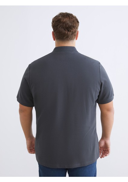 Yeni Sezon Büyük Beden Polo Yaka Pike Erkek Tişört fırsatları