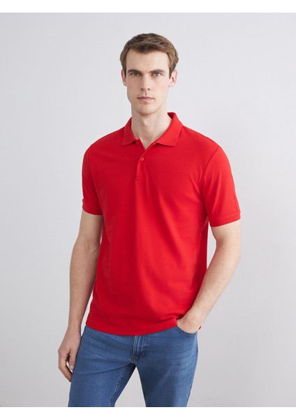 Yeni Sezon Polo Yaka Kısa Kollu Pike Erkek Tişört