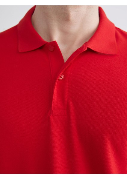 Yeni Sezon Polo Yaka Kısa Kollu Pike Erkek Tişört modelleri