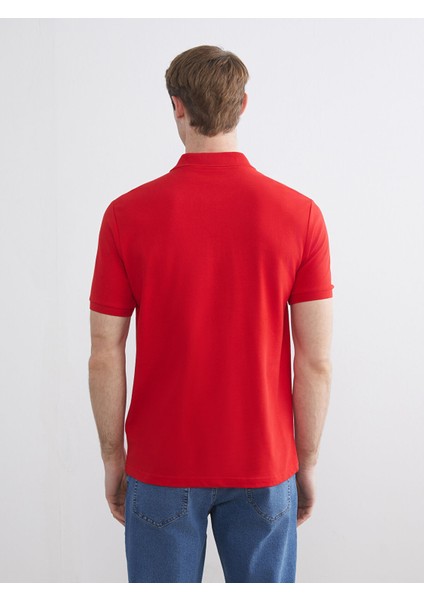 Yeni Sezon Polo Yaka Kısa Kollu Pike Erkek Tişört fırsatları