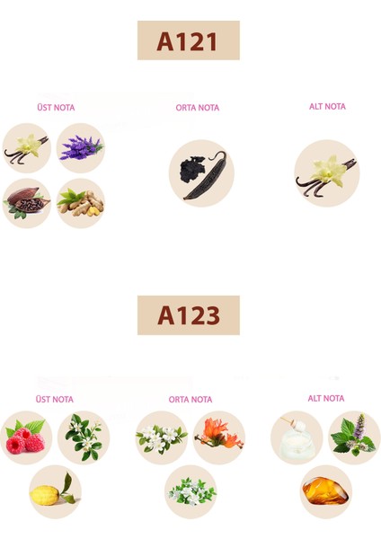 Bacera A121 Floral Kadın Parfüm 50ML Edp A123 Floral Kadın Parfüm 50ML Edp fiyatları