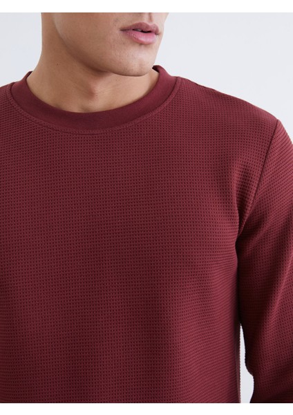 Yeni Sezon Bisiklet Yaka Dokulu Erkek Sweatshirt modelleri