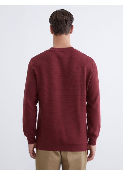 Yeni Sezon Bisiklet Yaka Dokulu Erkek Sweatshirt fırsatları