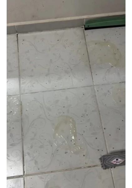 Araba Camı Kaynak Izi Sökücü -Solox Sx modelleri