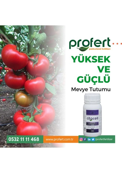 Cıtocell 5 Lt – Bitki Gelişim Düzenleyici – Yan Dal Oluşumu, Çiçeklenme ve Meyve Büyütme Için Özel Formül modelleri
