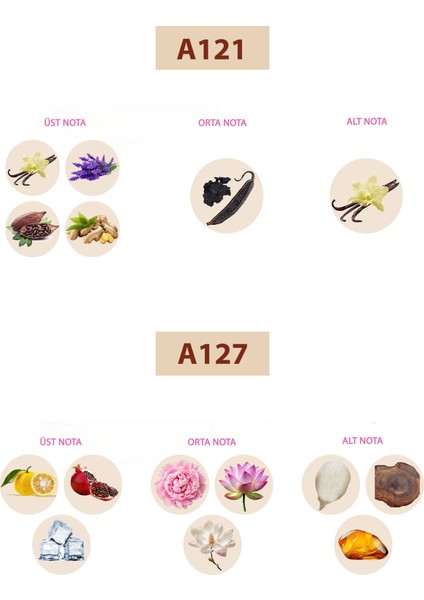 Bacera A121 Floral Kadın Parfüm 50ML Edp A127 Floral Kadın Parfüm 50ML Edp fiyatları