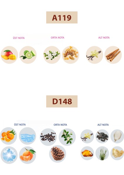 Bacera A119 Floral Kadın Parfüm 50ML Edp AD148 Oriental Erkek Parfüm 50ML Edp fiyatları