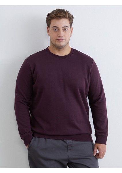 Yeni Sezon Büyük Beden Bisiklet Yaka Erkek Sweatshirt