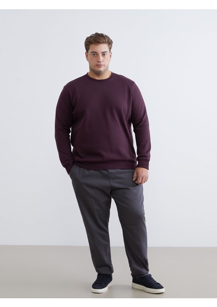 Yeni Sezon Büyük Beden Bisiklet Yaka Erkek Sweatshirt fiyatları