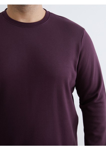 Yeni Sezon Büyük Beden Bisiklet Yaka Erkek Sweatshirt modelleri