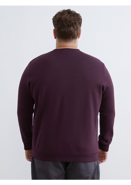 Yeni Sezon Büyük Beden Bisiklet Yaka Erkek Sweatshirt fırsatları