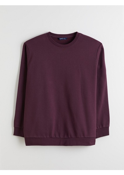 Yeni Sezon Büyük Beden Bisiklet Yaka Erkek Sweatshirt indirimleri