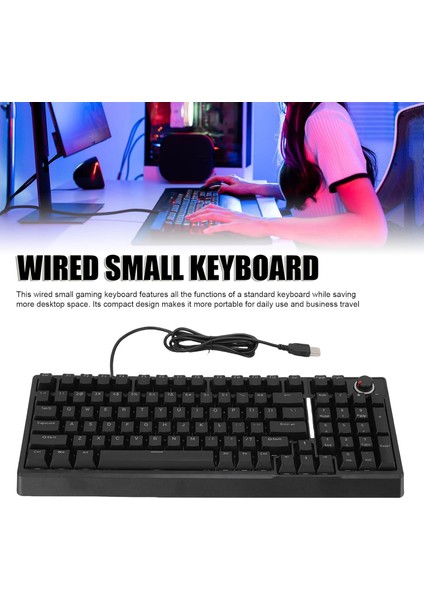 Kompakt Kablolu Rgb Oyuncu Klavyesi –%80 Boyut Ergonomik Tasarım, Mekanik Hissiyatlı Sessiz Tuşlar, LED Arka Aydınlatma, Plug & Play, Windows ve Mac Uyumlu | G500X modelleri