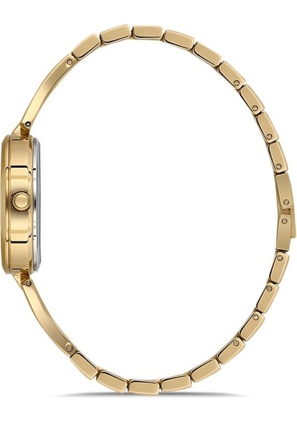 DK.1.AG1414.06 Minimal Tasarım 5 Atm Suya Dayanıklı Altın Renk Kadın Kol Saati fiyatları