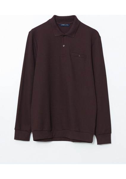 Yeni Sezon Polo Yaka Uzun Kollu Erkek Sweatshirt indirimleri