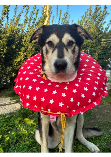 0.rta-Büyük.ırk Köpek Boyunluk-Elizabeth Yakalık Operasyon Boyunluk-Kedi Boyun Yastığı-Xxl fiyatları