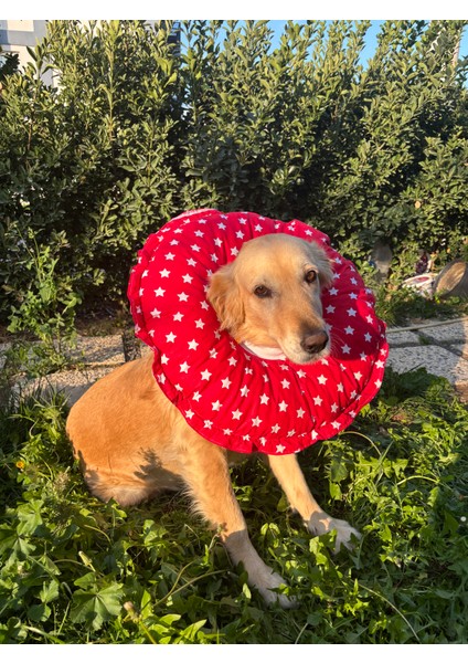 0.rta-Büyük.ırk Köpek Boyunluk-Elizabeth Yakalık Operasyon Boyunluk-Kedi Boyun Yastığı-Xxl fırsatları