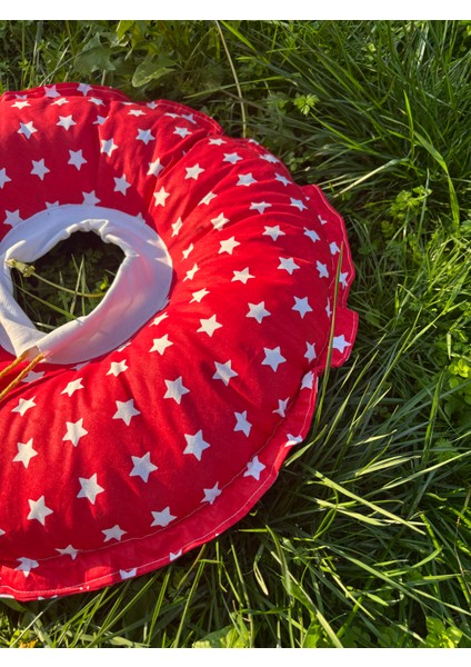 0.rta-Büyük.ırk Köpek Boyunluk-Elizabeth Yakalık Operasyon Boyunluk-Kedi Boyun Yastığı-Xxl indirimleri