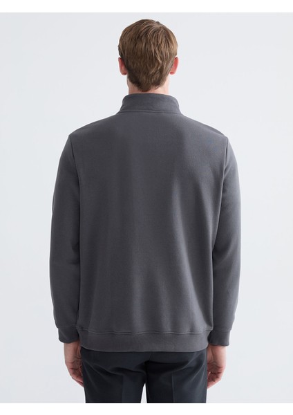 Yeni Sezon Dik Yaka Erkek Sweatshirt fırsatları