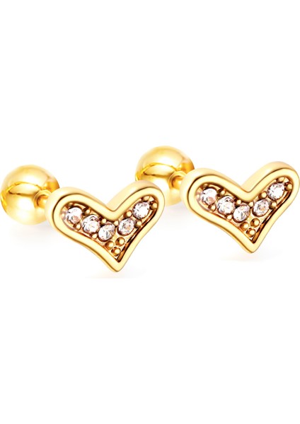 Zirkon Taşlı Kalpli Çelik Küpe - Vidalı Kapama - Helix