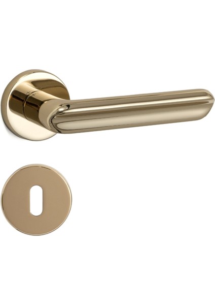 Jaden Rozetli Kapı Kolu Gold Renk Oda Rozetli