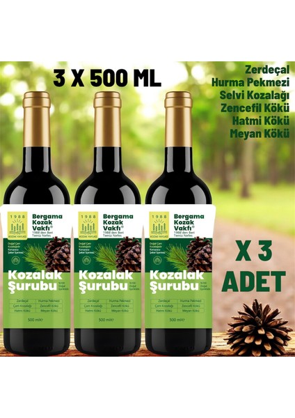 3 x 500 ml Kozak Bergama Vakfı Kozalak Şurubu