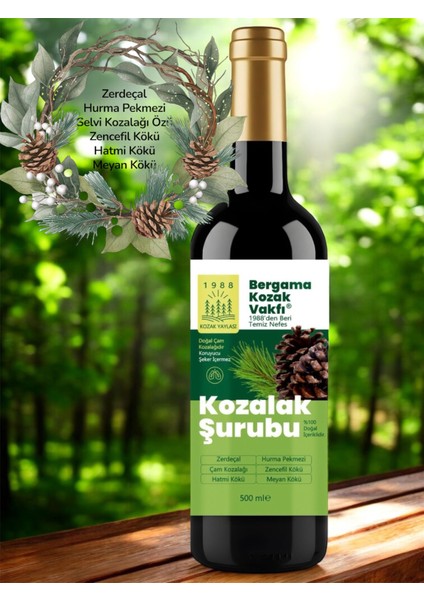 3 x 500 ml Kozak Bergama Vakfı Kozalak Şurubu fırsatları