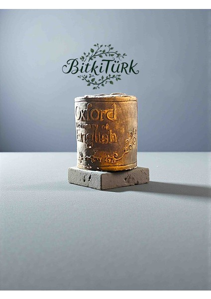 Kitap Severlere Beton Kitap Saksı 13×12