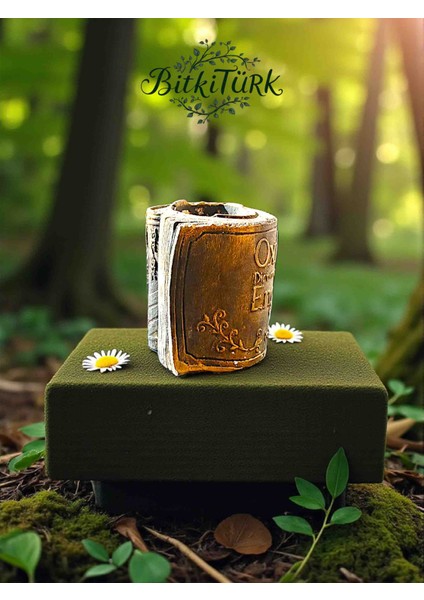 Kitap Severlere Beton Kitap Saksı 13×12 fiyatları