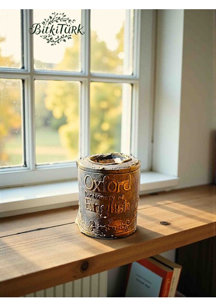 Kitap Severlere Beton Kitap Saksı 13×12 modelleri