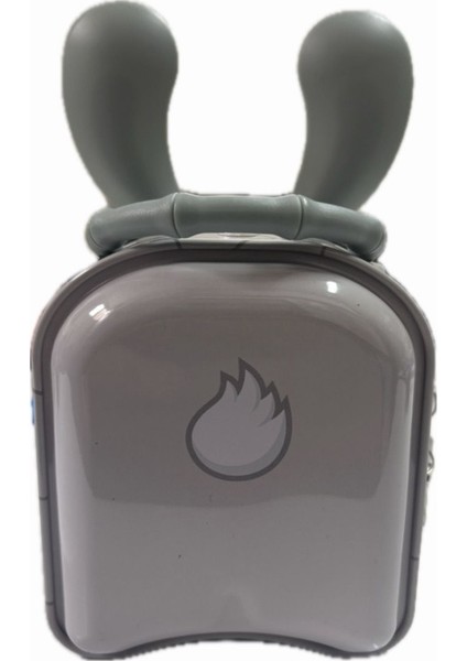 Anahtarlı Kilitli Metal Gri Kumbara Tavşan Temalı fırsatları