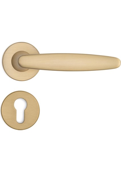 Polna Rozetli Kapı Kolu Altın Saten Renk Yale ( Dış Kapı Rozetli)