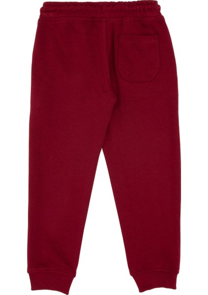 Erkek Çocuk Bordo Eşofman Altı 50313825-VR014 modelleri