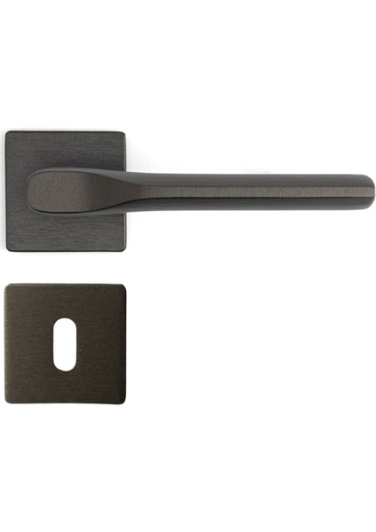 Tıke Rozetli Kapı Kolu Kalaylı Siyah Saten Renk Oda Rozetli